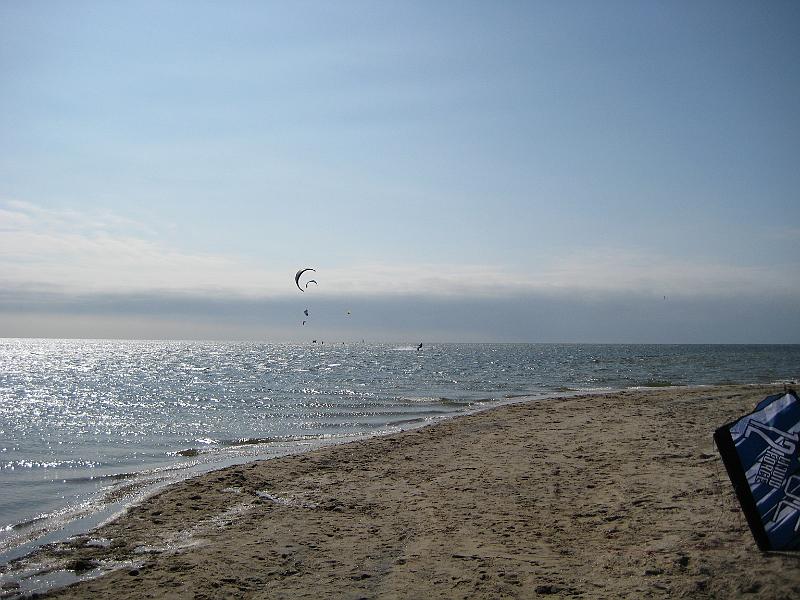 Picture 239_2
